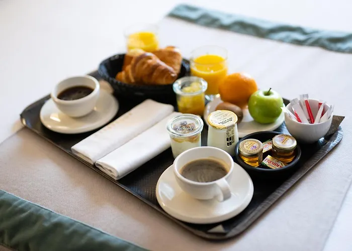 Hotel Le Roosevelt Lyon